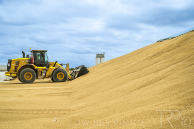 January 2023 / TAILEM-BEND_230118_051