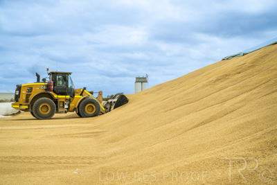 January 2023 / TAILEM-BEND_230118_052