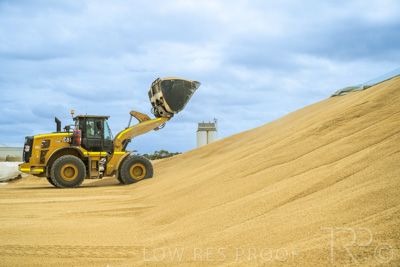January 2023 / TAILEM-BEND_230118_055