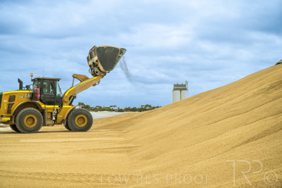 January 2023 / TAILEM-BEND_230118_058