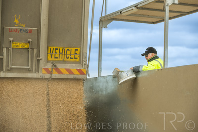 January 2023 / TAILEM-BEND_230118_094