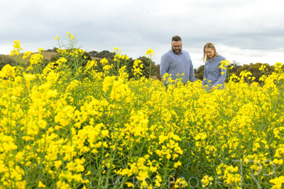 September 2024 / Malinong(SA)-Canola_240925-_Z9C9884