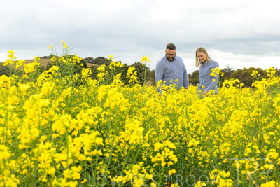 September 2024 / Malinong(SA)-Canola_240925-_Z9C9886