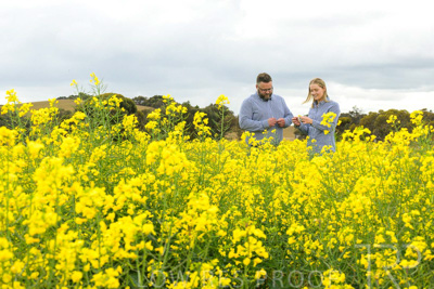 September 2024 / Malinong(SA)-Canola_240925-_Z9C9889