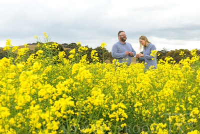 September 2024 / Malinong(SA)-Canola_240925-_Z9C9891