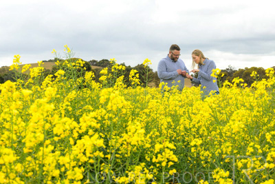 September 2024 / Malinong(SA)-Canola_240925-_Z9C9892