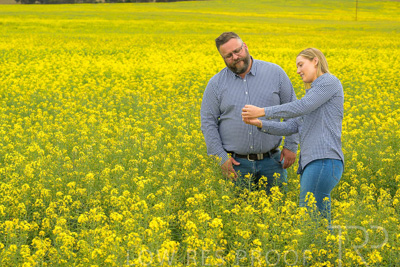 September 2024 / Malinong(SA)-Canola_240925-_Z9C9907
