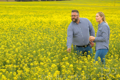 September 2024 / Malinong(SA)-Canola_240925-_Z9C9911