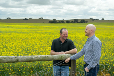 September 2024 / Malinong(SA)-Canola_240925-_Z9C9920