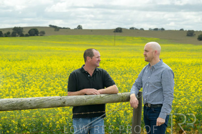 September 2024 / Malinong(SA)-Canola_240925-_Z9C9925