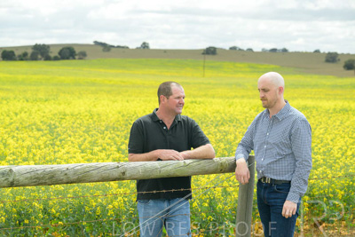 September 2024 / Malinong(SA)-Canola_240925-_Z9C9929