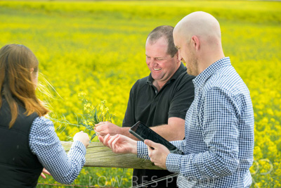 September 2024 / Malinong(SA)-Canola_240925-_Z9C9932