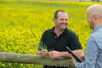 September 2024 / Malinong(SA)-Canola_240925-_Z9C9941