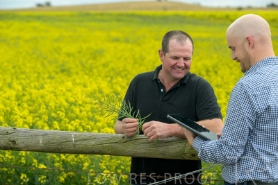 September 2024 / Malinong(SA)-Canola_240925-_Z9C9944