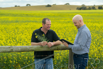 September 2024 / Malinong(SA)-Canola_240925-_Z9C9954