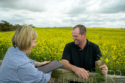 September 2024 / Malinong(SA)-Canola_240925-_Z9C9957