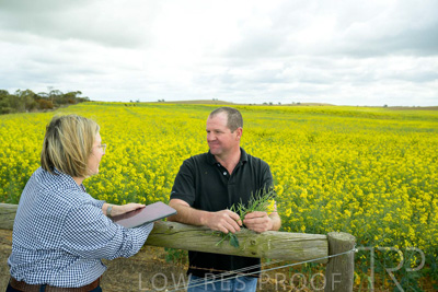 September 2024 / Malinong(SA)-Canola_240925-_Z9C9970