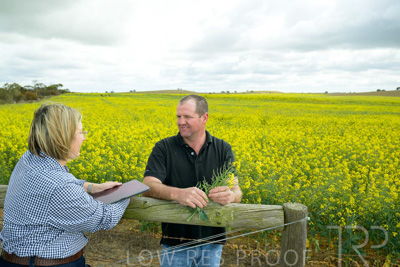 September 2024 / Malinong(SA)-Canola_240925-_Z9C9973