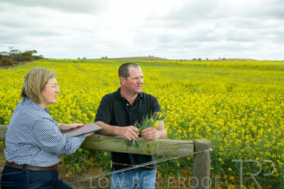 September 2024 / Malinong(SA)-Canola_240925-_Z9C9985