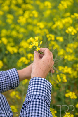 September 2024 / Malinong(SA)-Hands-Close-ups_240925-_Z9C0051