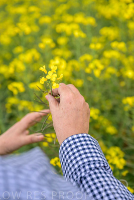 September 2024 / Malinong(SA)-Hands-Close-ups_240925-_Z9C0053