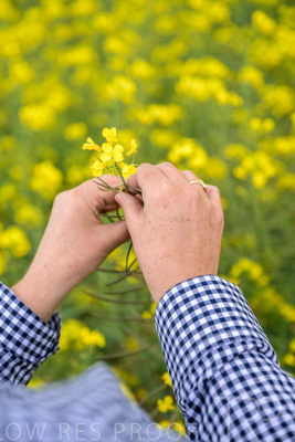 September 2024 / Malinong(SA)-Hands-Close-ups_240925-_Z9C0055