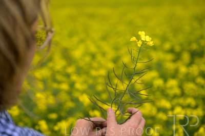 September 2024 / Malinong(SA)-Hands-Close-ups_240925-_Z9C0058