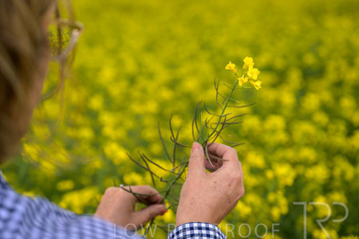 September 2024 / Malinong(SA)-Hands-Close-ups_240925-_Z9C0060