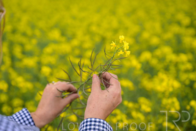 September 2024 / Malinong(SA)-Hands-Close-ups_240925-_Z9C0063