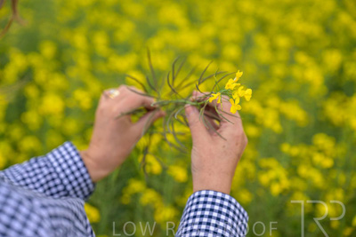 September 2024 / Malinong(SA)-Hands-Close-ups_240925-_Z9C0065