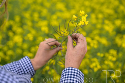 September 2024 / Malinong(SA)-Hands-Close-ups_240925-_Z9C0067