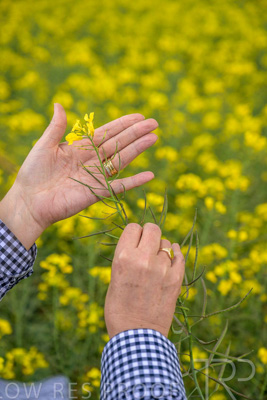 September 2024 / Malinong(SA)-Hands-Close-ups_240925-_Z9C0072