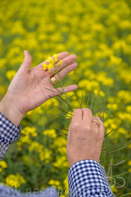 September 2024 / Malinong(SA)-Hands-Close-ups_240925-_Z9C0075