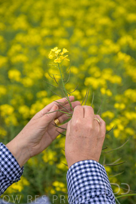 September 2024 / Malinong(SA)-Hands-Close-ups_240925-_Z9C0083