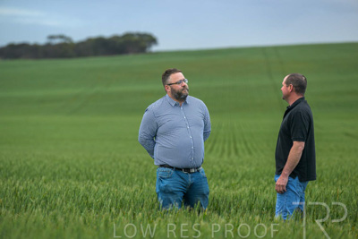 September 2024 / Malinong_SA_-Wheat-1_240925-_Z9C7151