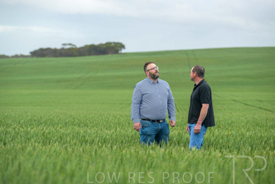 September 2024 / Malinong_SA_-Wheat-1_240925-_Z9C7158