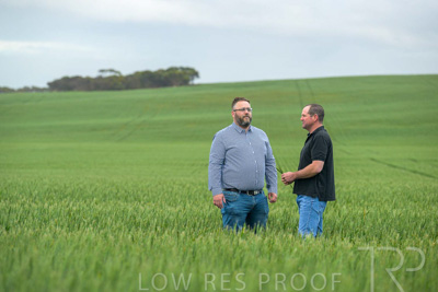 September 2024 / Malinong_SA_-Wheat-1_240925-_Z9C7171