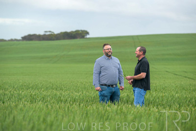 September 2024 / Malinong_SA_-Wheat-1_240925-_Z9C7175