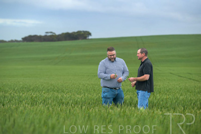 September 2024 / Malinong_SA_-Wheat-1_240925-_Z9C7183