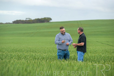 September 2024 / Malinong_SA_-Wheat-1_240925-_Z9C7188