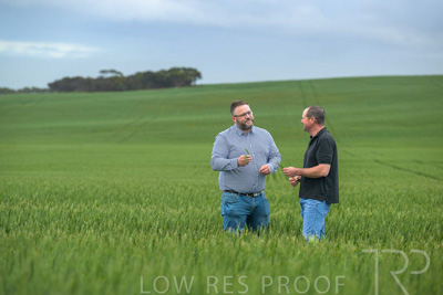 September 2024 / Malinong_SA_-Wheat-1_240925-_Z9C7192