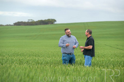 September 2024 / Malinong_SA_-Wheat-1_240925-_Z9C7203