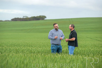 September 2024 / Malinong_SA_-Wheat-1_240925-_Z9C7207