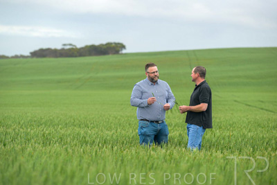 September 2024 / Malinong_SA_-Wheat-1_240925-_Z9C7211