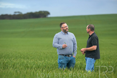 September 2024 / Malinong_SA_-Wheat-1_240925-_Z9C7213