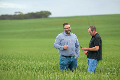 September 2024 / Malinong_SA_-Wheat-1_240925-_Z9C7216