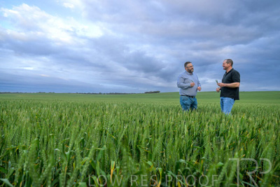 September 2024 / Malinong_SA_-Wheat-1_240925-_Z9C7228