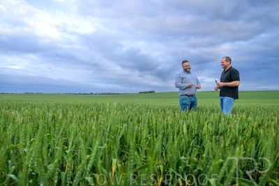 September 2024 / Malinong_SA_-Wheat-1_240925-_Z9C7232