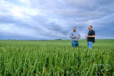 September 2024 / Malinong_SA_-Wheat-1_240925-_Z9C7237