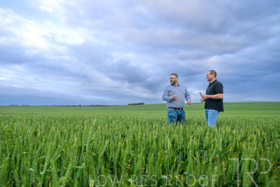 September 2024 / Malinong_SA_-Wheat-1_240925-_Z9C7240